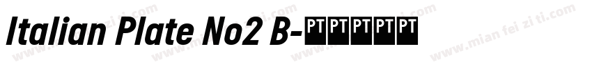 Italian Plate No2 B字体转换